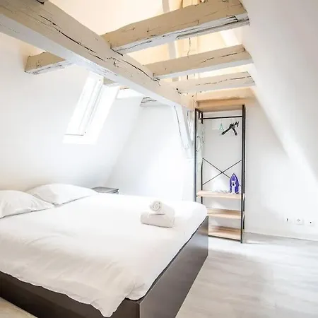 Le Charme Des Combles Tourangeaux Apartment