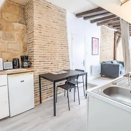 Le Charme Des Combles Tourangeaux Apartment Tours