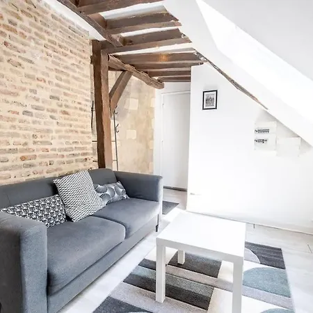 Le Charme Des Combles Tourangeaux Tours